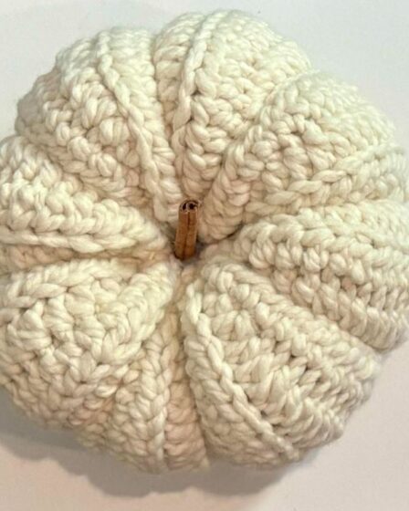 crochet, crochet pumpkin, how to crochet a chunky pumpkin, crochet chunky pumpkin pattern, crochet chunky pumpkin pattern, crochet chunky pumpkin pattern free, bulky crochet pumpkin pattern, crochet pumpkin chunky yarn pattern, chunky pumpkin pillow crochet pattern, crochet pumpkin pattern free chunky yarn, simple chunky pumpkn crochet pattern free, easy chunky pumpkin crochet pattern, easy chunky pumpkin crochet pattern free, easy chunky pumpkin crochet pattern pdf free, easy crochet pumpkin crochet pattern pdf, easy chunky pumpkin crochet pattern for beginners